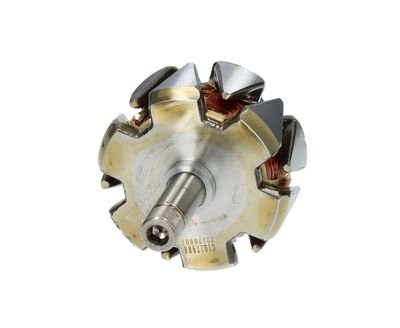 Wirnik, alternator