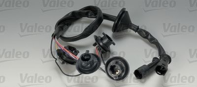 Gniazdo żarówki, lampa kierunkowskazu